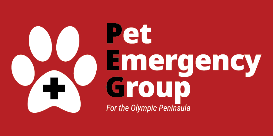 Logo_PEG_Red%20Background.png